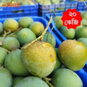 হিম সাগর আম